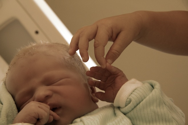 Little Hands